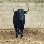 Pablo Tun Azcorra - @pablotunazcorra - Instagram