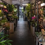 Pablo Tun Jr. - @abbeys_flower_garden - Instagram