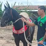 Pablo do grau - @_pablo_vaquero - Instagram