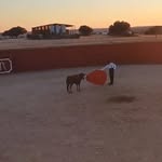 Pablo vaquero - @pablo_vaquero5 - Instagram