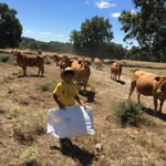 Pablo vaquero Hernández - @pablovaquerohernandez - Instagram