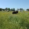 Pablo Vejar - @pablo.vejar - TikTok