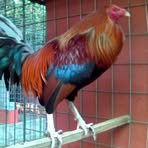 Pablo Vences - Facebook