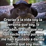 Pablo Vences - Facebook
