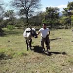 pablo vigil - @pablovigil86 - Instagram