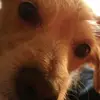 Pablo Vigil__ - @ireadtags - TikTok