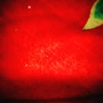 ©PABLO ®VINCENT ™ - @pablovincent1256_08753 - Instagram