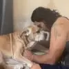 pablovivanco753 - @pablo.vivanco4 - TikTok