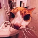 Pablo Walsh - @pablo_walsh_ - Instagram