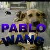 PABLO WANG - @pablo_wang - TikTok