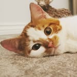pablo - @pablo.wardell - Instagram