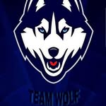 Code- teeaamm_wolf - @pablo__wolf - Instagram