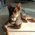Pablo Wong - @plain_pablo_ - Instagram
