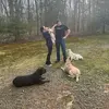 PackofAndersons - @packofandersons - TikTok