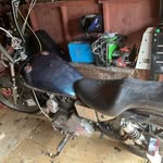 Packard Smith - @packard.smith - Instagram