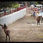 Paco Bernal Navarrete - @pacobernalnavarrete - Instagram