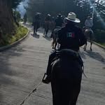 Paco Camacho - @pacocamacho51 - Instagram