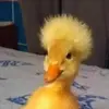 Paco - @pacosanchez13 - TikTok