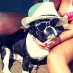 Paddy - @paddy.bush.yegermaister - Instagram