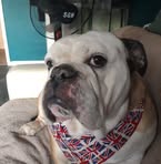 Paddy Murphy - Facebook