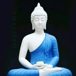 Padma Amingad - @amingadpadmavathi - Instagram