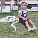 Padma Sharma Padma - Facebook