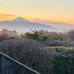 Padraic Duffy - Facebook