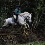 Padraig Ryan - @pryanpro - Instagram