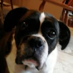 page brown - @pageybrownie - Instagram