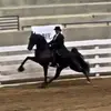Page Brown - @ritz6445 - TikTok