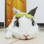bunny.paitsai - @bunny.paitsai - Instagram
