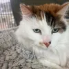 paigebackman@ - @paigebackman1 - TikTok