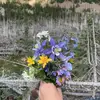 paigebarthel - @paigebarthel - TikTok