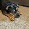PaigeFordCoulbourne - @paigeford525 - TikTok