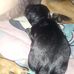 Paige Braker - Facebook