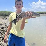 Brice Paige - @brice.paige - Instagram