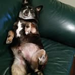 Paige Bruegger - Facebook