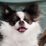 Paige Bruegger - @paigembruegger2 - Instagram