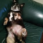Paige Bruegger - @paigembruegger - Instagram