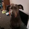 Paige Burley - @paige.burley06 - TikTok