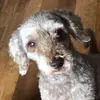 Paige Burley - @paige.burley2 - TikTok