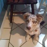 leah paige byars-lyons - @dawncb83 - Instagram