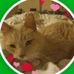 Paige - @paige.cady3011 - Instagram