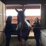 Paige Calhoun - @paige_winberg - Instagram