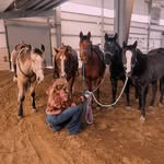 Paige Callan - @paigecallan_horsetraining - Instagram