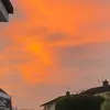 ontothenextpaige - @paigecardyy - TikTok