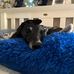 Paige Cutler - Facebook