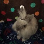 Paige Danner - @gizzer_for_life - Instagram