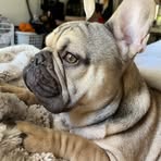 Paige Darke - Facebook