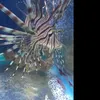 @PaigeDarke22 - @paigedarke - TikTok